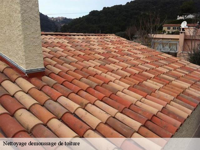 Nettoyage demoussage de toiture
