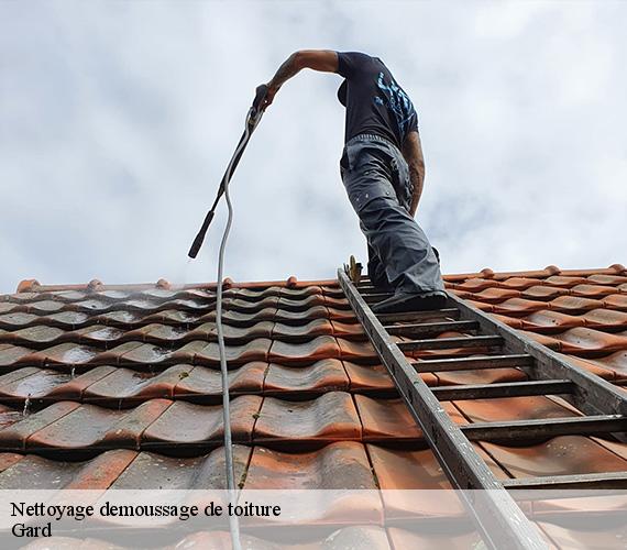 Nettoyage demoussage de toiture Gard