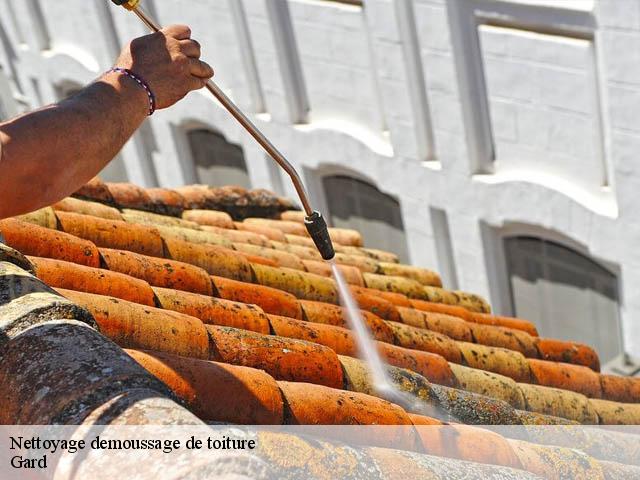 Nettoyage demoussage de toiture Gard 