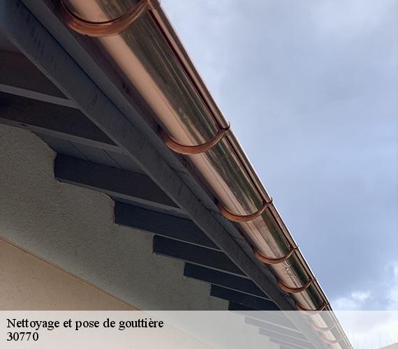 Nettoyage et pose de gouttière  30770