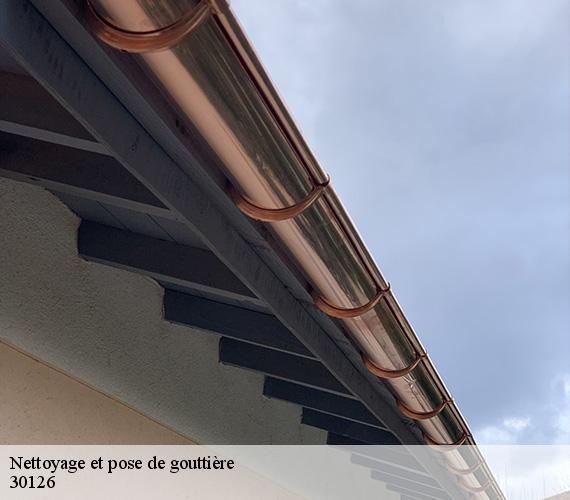 Nettoyage et pose de gouttière 30126