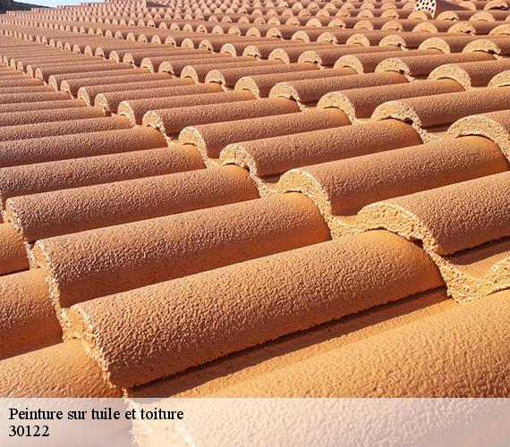 Peinture sur tuile et toiture  30122