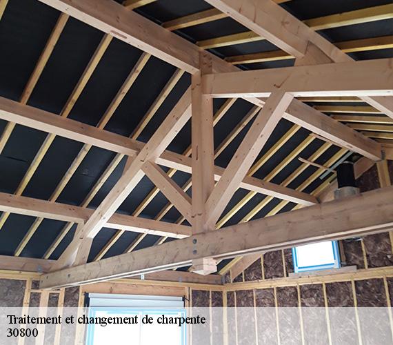 Traitement et changement de charpente 30800