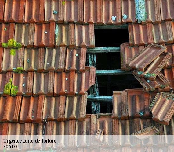 Urgence fuite de toiture 30610
