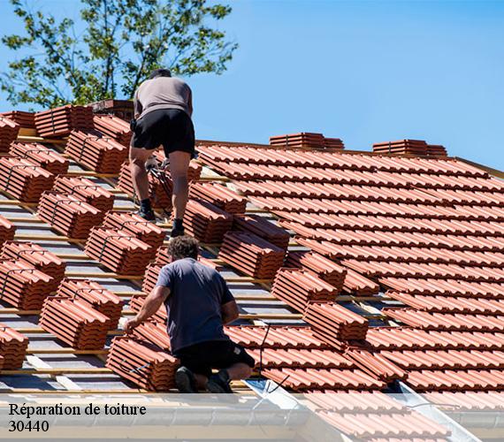 Réparation de toiture 30440